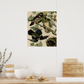 Sommer oder Holzente Poster (Küche)