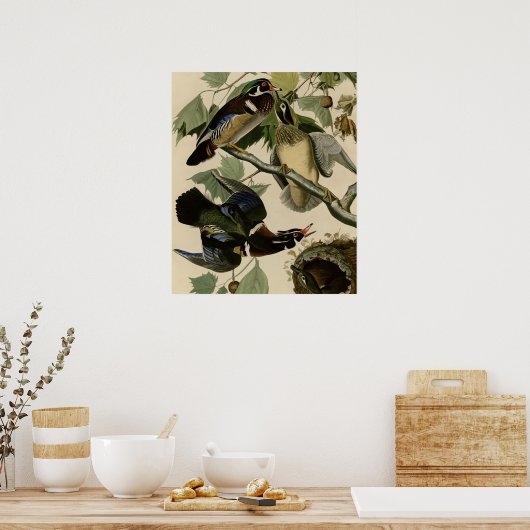 Sommer oder Holzente Poster (Küche)