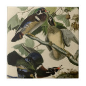 Sommer oder hölzerne Ente Fliese (Vorderseite)