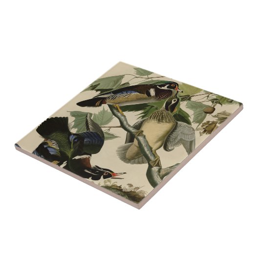 Sommer oder hölzerne Ente Fliese (Seite)