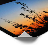 Sommer-Pflanzensilhouetten Poster (Ecke)