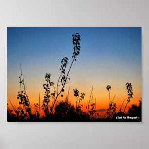 Sommer-Pflanzensilhouetten Poster
