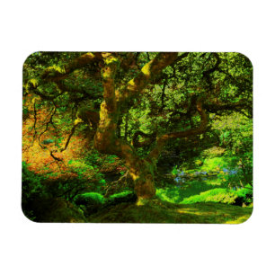 Sommer, Portland Japanese Garden, Portland Magnet