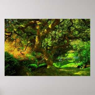 Sommer, Portland Japanese Garden, Portland Poster