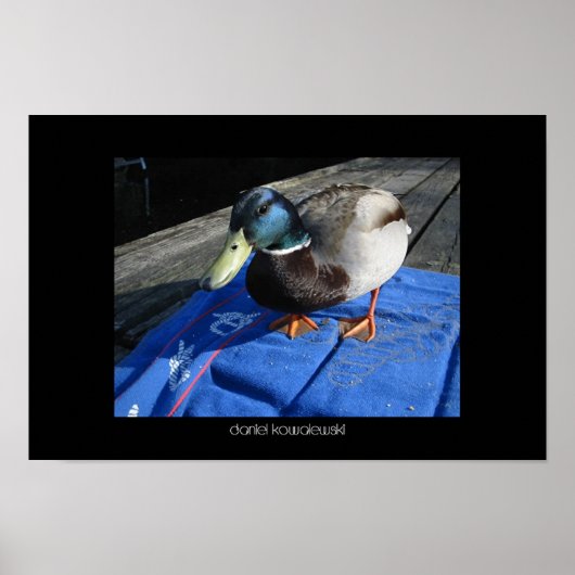 Sommer Poster (Vorne)