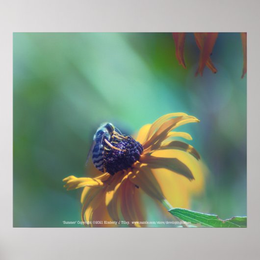 Sommer Poster (Vorne)