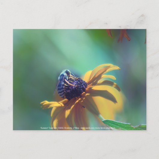 Sommer Postkarte (Vorderseite)