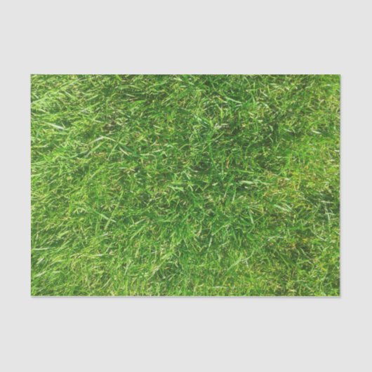 Sommer-Rasen Seidenpapier (Vorderseite)