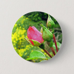 Sommer rosa Rosenblütenknospen Button
