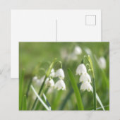 Sommer-Schneeflocken DIY Postkarte (Vorne/Hinten)