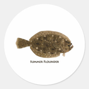 Sommer-Scholle Runder Aufkleber