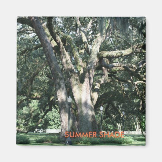 SOMMER SHADE Saison Magnet (Vorne)