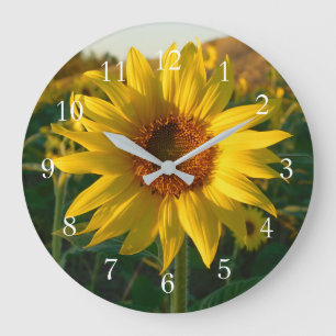 Sommer-Sonnenblume Große Wanduhr