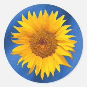 Sommer Sonnenblume Königlich Blaue Hochzeitsgunst Runder Aufkleber