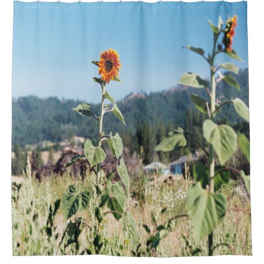 Sommer Sonnenblumen...... Duschvorhang (Vorderseite)