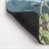 Sommer Sonnenblumen......... Mousepad (Ecke)