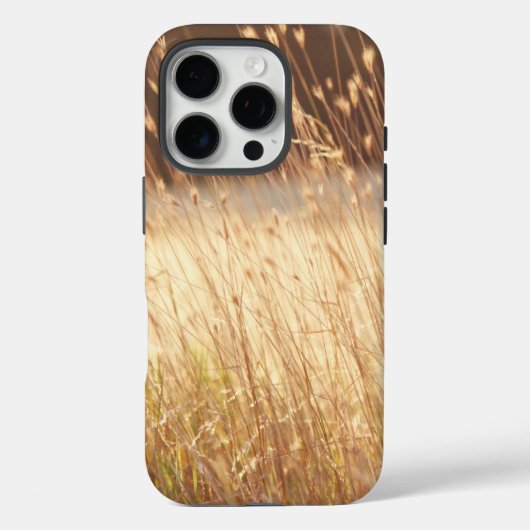 Sommer-Sonnenuntergang-Feld-Gras Case-Mate iPhone Hülle (Rückseite)