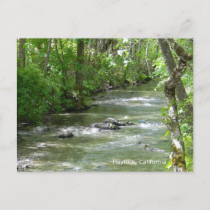 Sommer Spaß... Postkarte