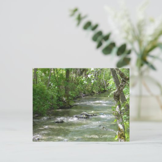 Sommer Spaß... Postkarte (Stehend Vorderseite)