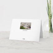 Sommer TraumNotecard Karte (Rückseite)