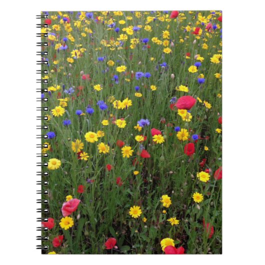 Sommer-Wildblumen von Loch- Nessnotizbuch Notizblock (Vorderseite)