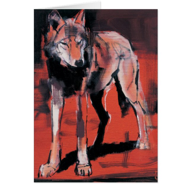 Sommer-Wolf 2001 (Vorne)