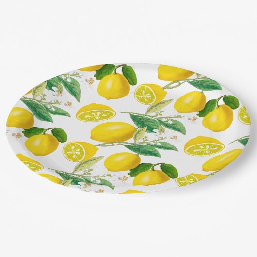 Sommer, Zitrusfrüchte, mediterraner Blumenstil, Zi Pappteller (Schrägansicht)