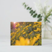 Sommerabend postkarte (Stehend Vorderseite)