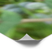 Sommeraktivität 2 poster (Ecke)