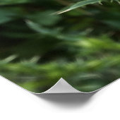 Sommeraktivität Poster (Ecke)