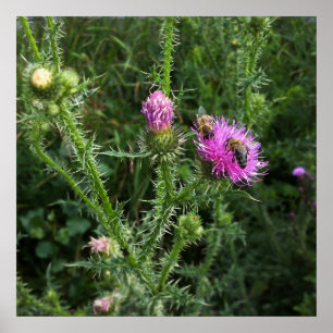 Sommeraktivität Poster