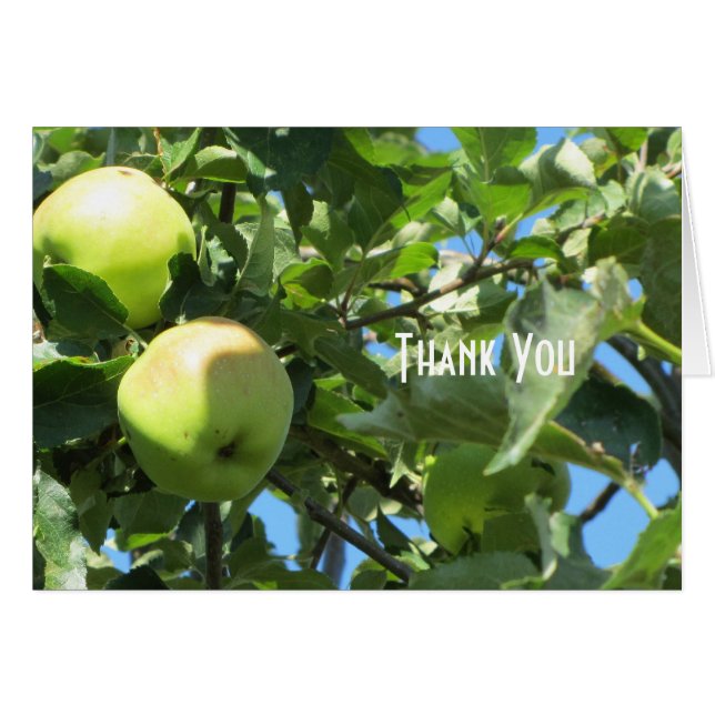 Sommerapfel (Vorderseite (Horizontal))