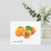 Sommerapricots genießen die Lebensfarbe Postkarte (Stehend Vorderseite)