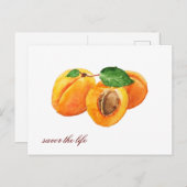 Sommerapricots genießen die Lebensfarbe Postkarte (Vorne/Hinten)