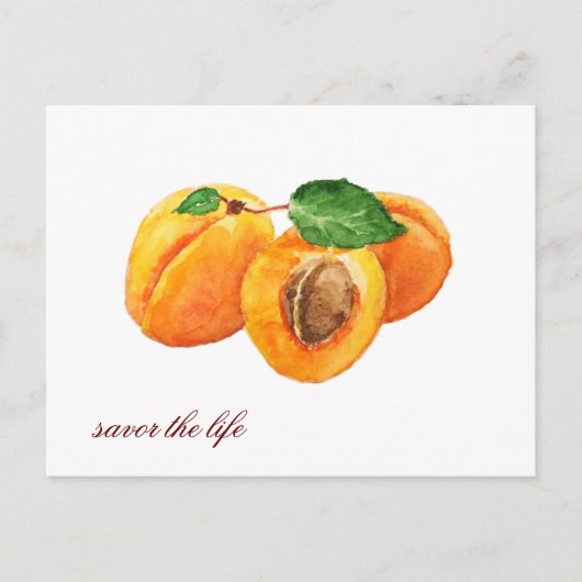 Sommerapricots genießen die Lebensfarbe Postkarte (Vorderseite)