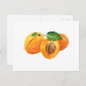 Sommeraprikos Aquarell Postkarte (Vorne/Hinten)