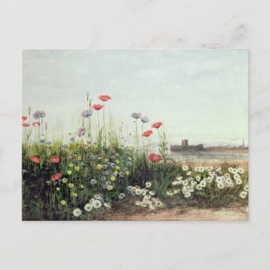 Sommerbank der Blume Postkarte (Vorderseite)