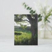 Sommerbaum Postkarte (Stehend Vorderseite)
