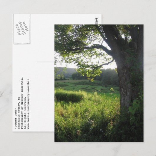 Sommerbaum Postkarte (Vorne/Hinten)