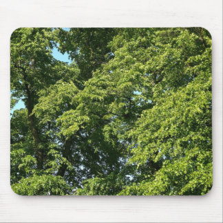 Sommerbaume Mousepad