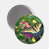 Sommerbesucher Magnet (Vorderseite/Rückseite)