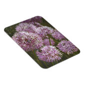 Sommerbienen 2014 magnet (Rechte Seite)