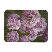 Sommerbienen 2014 magnet (Horizontal)