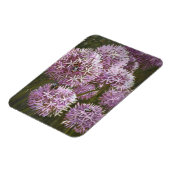 Sommerbienen 2014 magnet (Linke Seite)