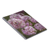 Sommerbienen 2014 notizblock (Rechte Seite)