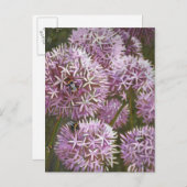 Sommerbienen 2014 postkarte (Vorne/Hinten)