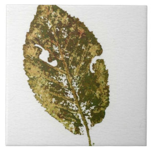 Sommerblattart mit realistischer grüner Tinte Fliese