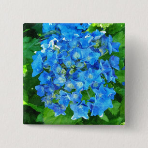 Sommerblaue Hortensienblüten und ihre grünen Blätt Button