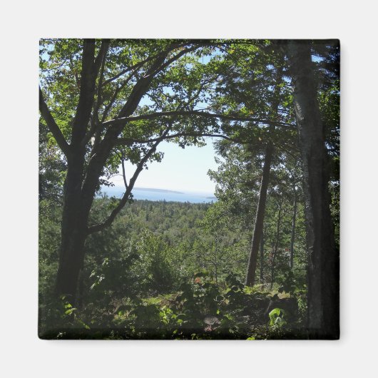 Sommerblick im Acadia National Park Magnet (Vorne)