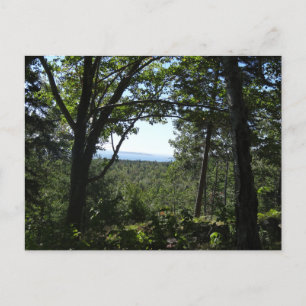 Sommerblick im Acadia National Park Postkarte